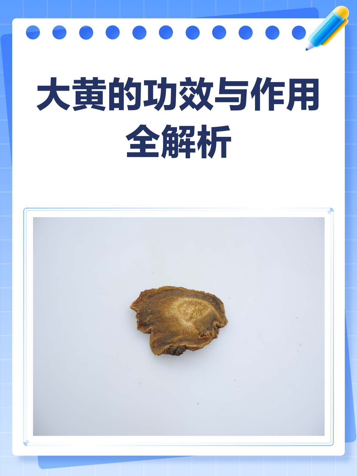 大黄不只是泻药!它的这些功效你知道吗?