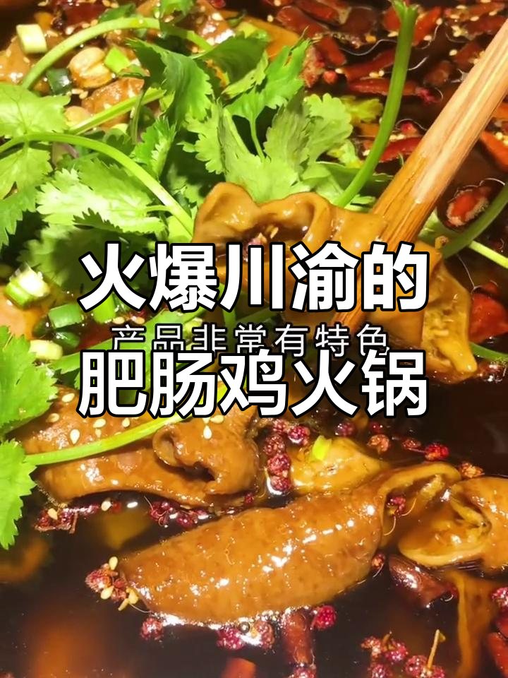 川渝特色肥肠鸡火锅,开店外卖皆可,配方全揭秘