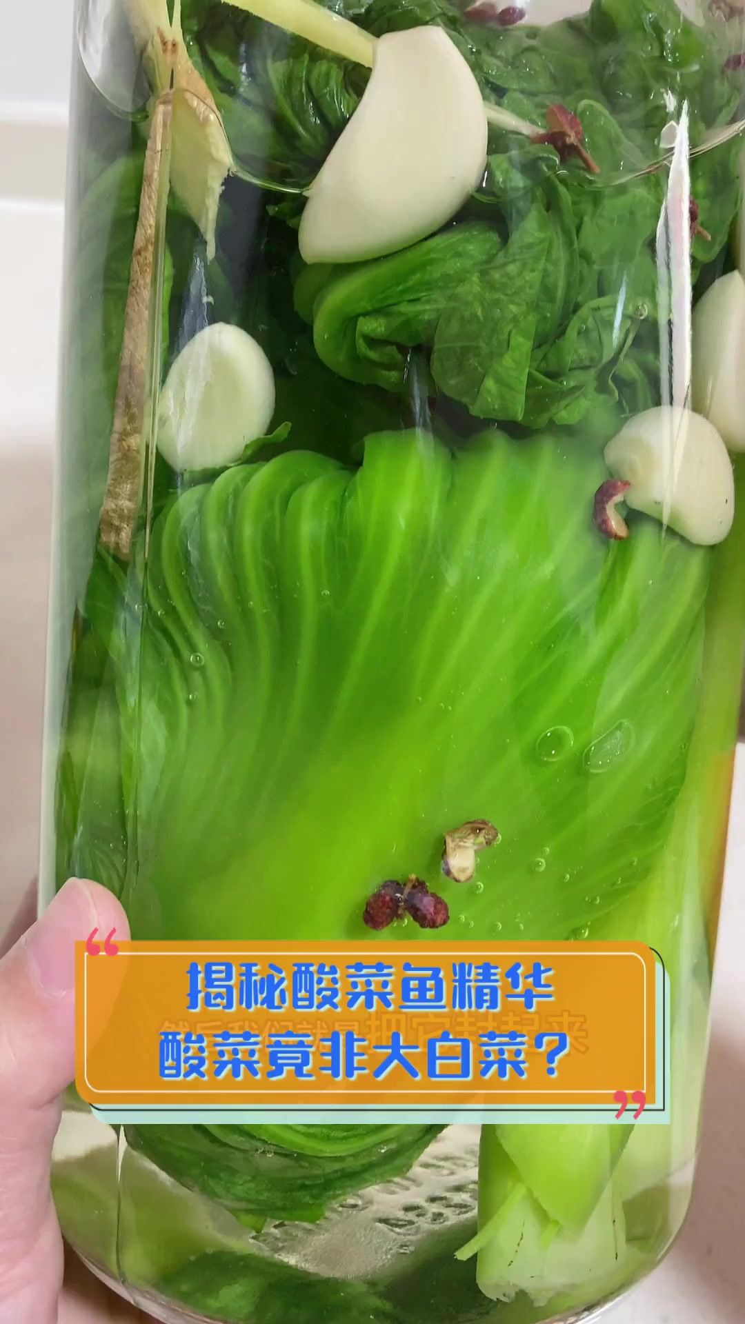 揭秘酸菜鱼精华,酸菜竟非大白菜?