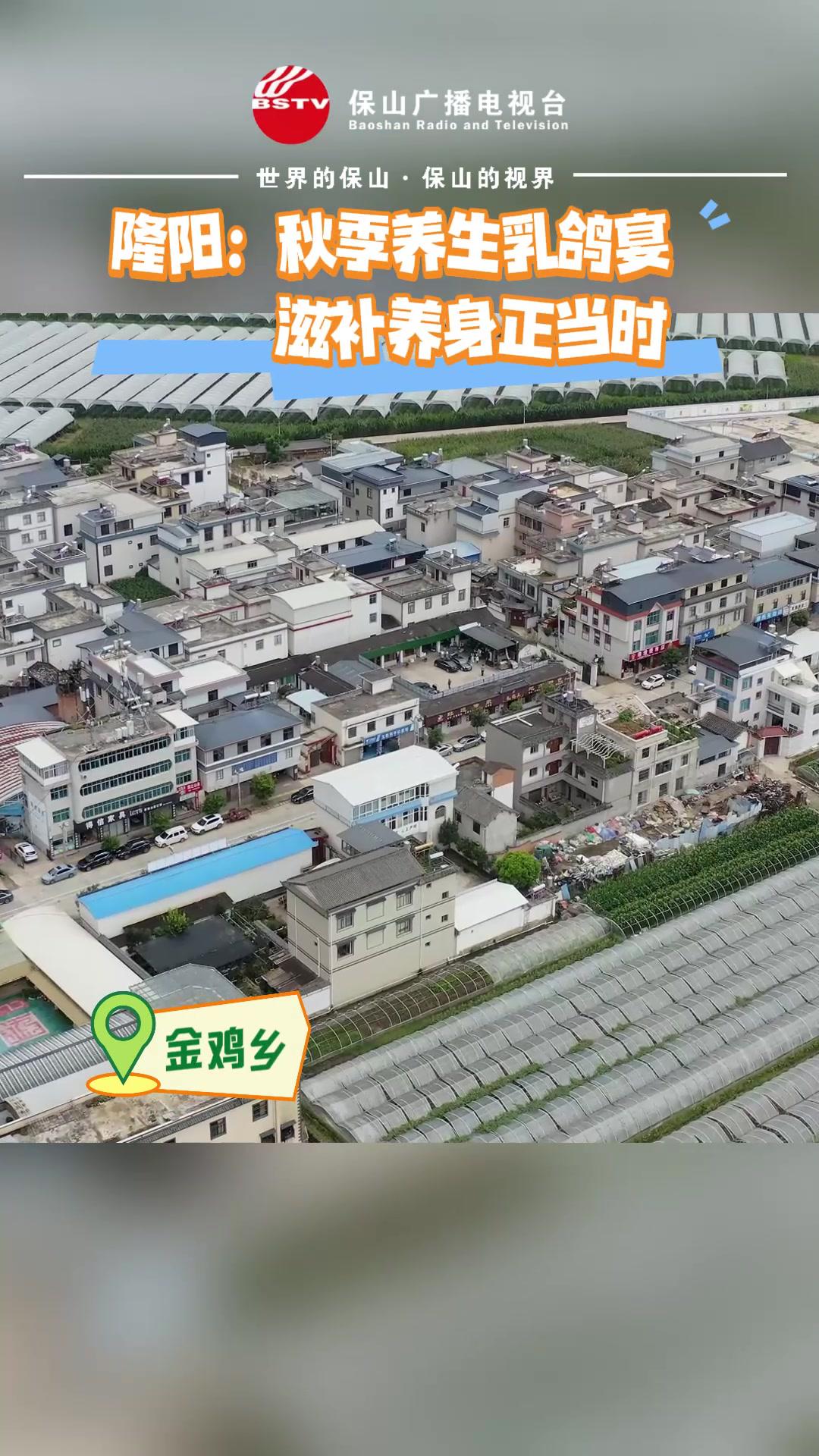 隆阳:秋季养生乳鸽宴滋补养身正当时(制作:蔡萱隆阳融媒:夏维东)保山 金鸡乳鸽