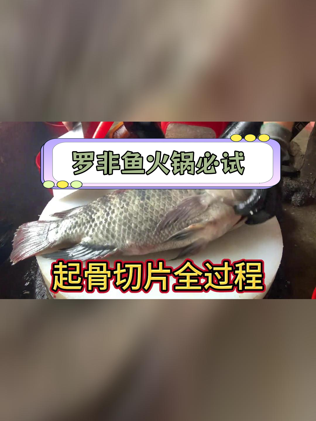 脆肉罗非鱼火锅,口感超赞