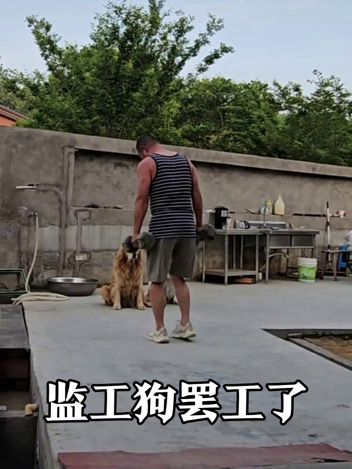 大叔举铁被狗监工,举一半狗叼盆跑路,笑喷!