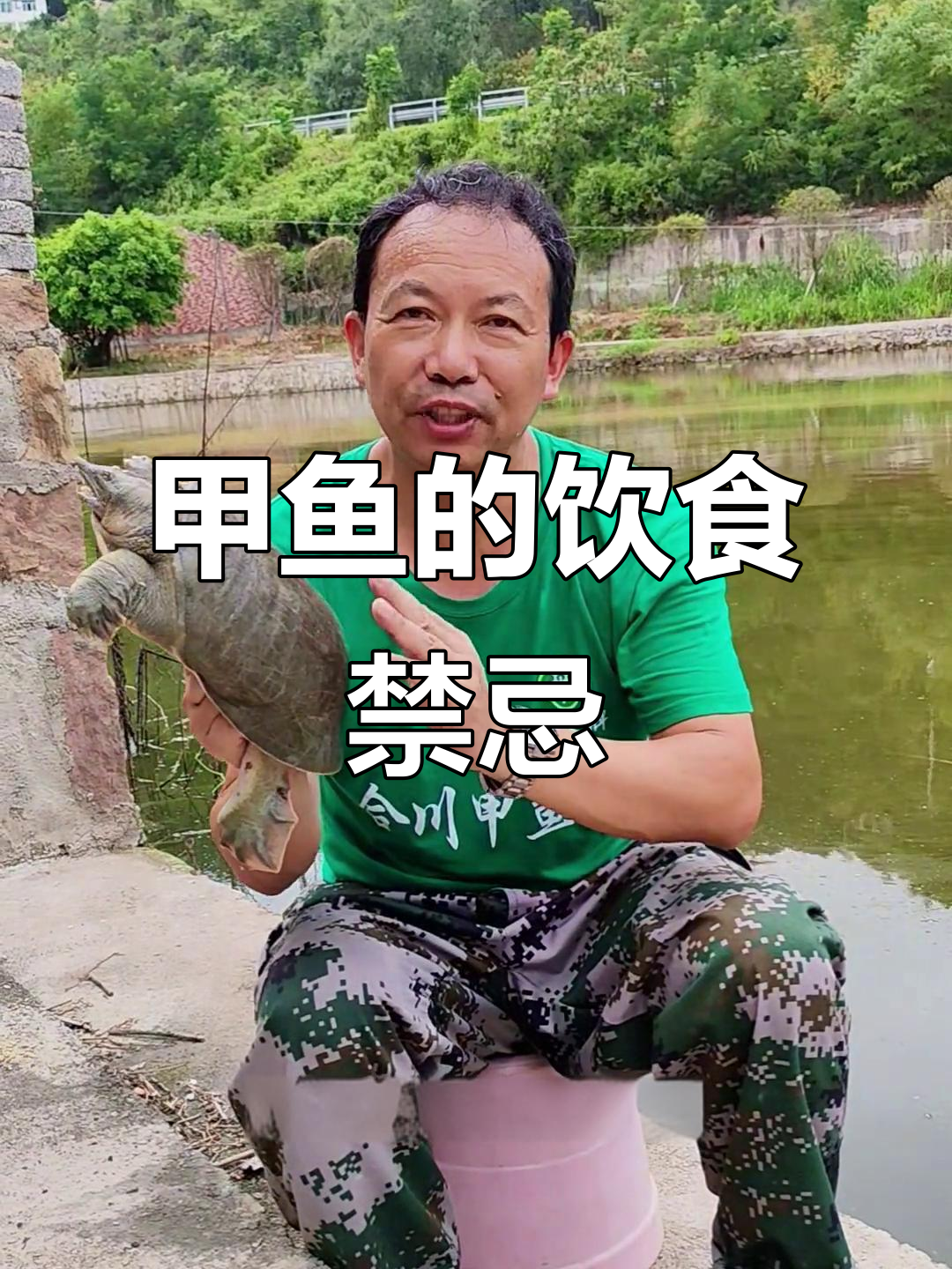 甲鱼不能和什么一起吃?这些食物搭配要小心