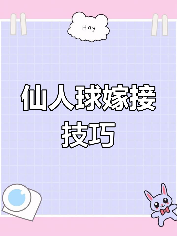如何种植仙人球美杜莎?从根部开始,轻松上手