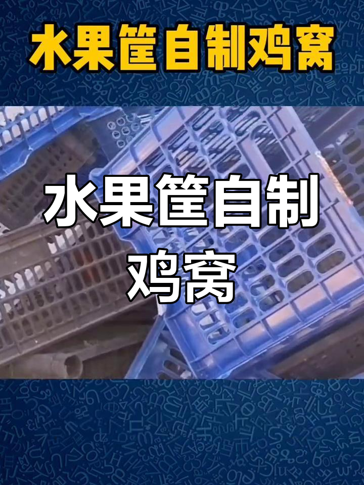 利用废水果筐打造简易鸡窝,母鸡下蛋更方便