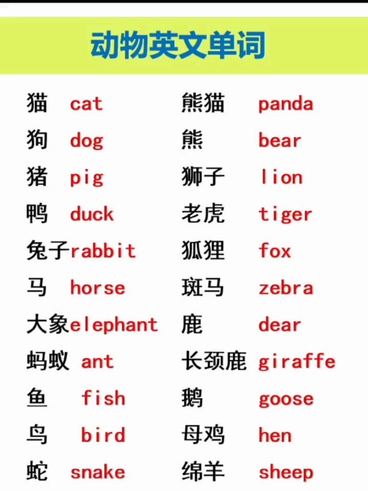 动物的英文单词