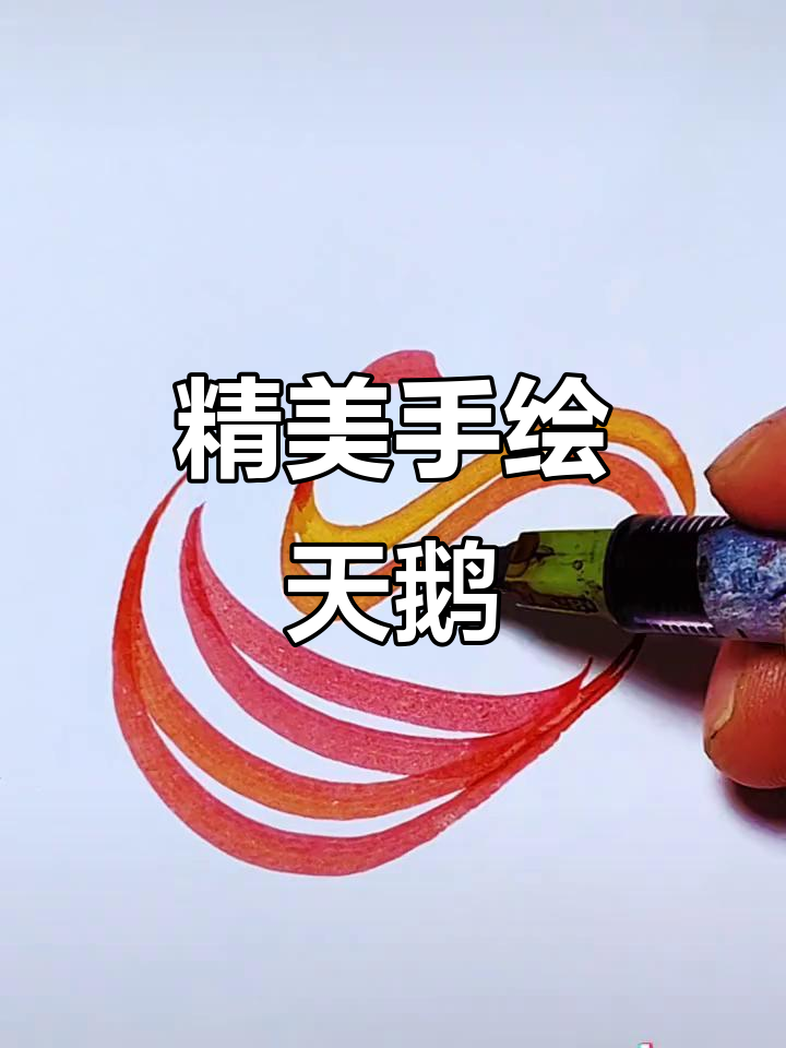 手绘天鹅,细节满满的艺术创作