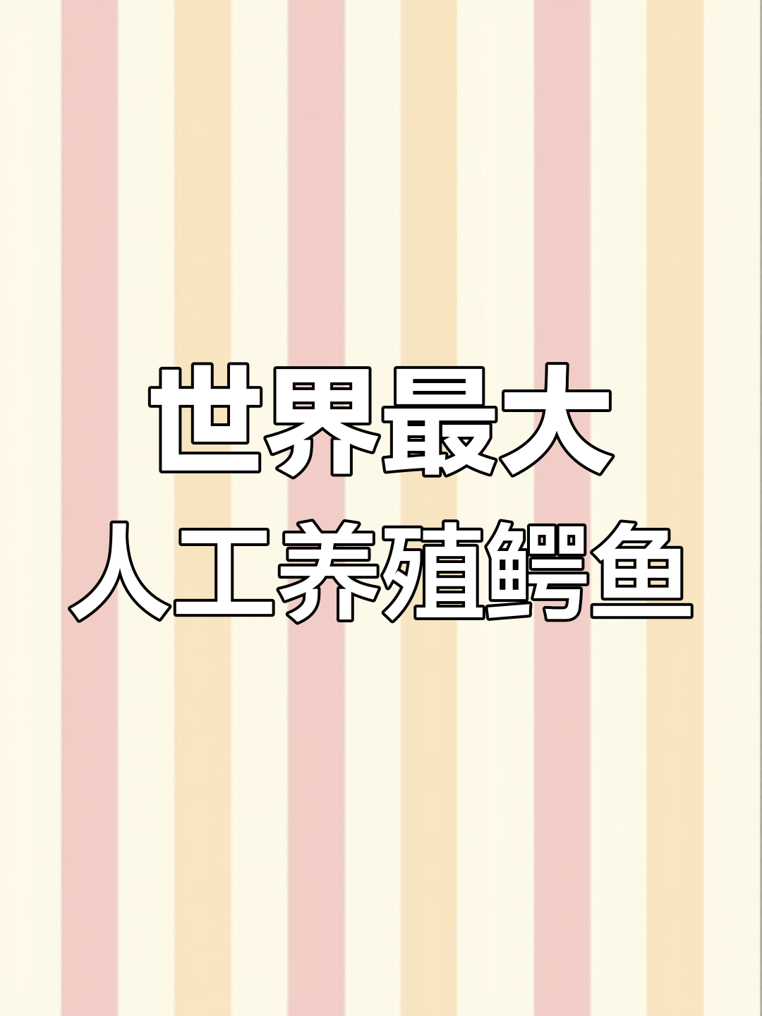 世界上最大人工饲养鳄鱼,吉尼斯认证的巨型猛兽