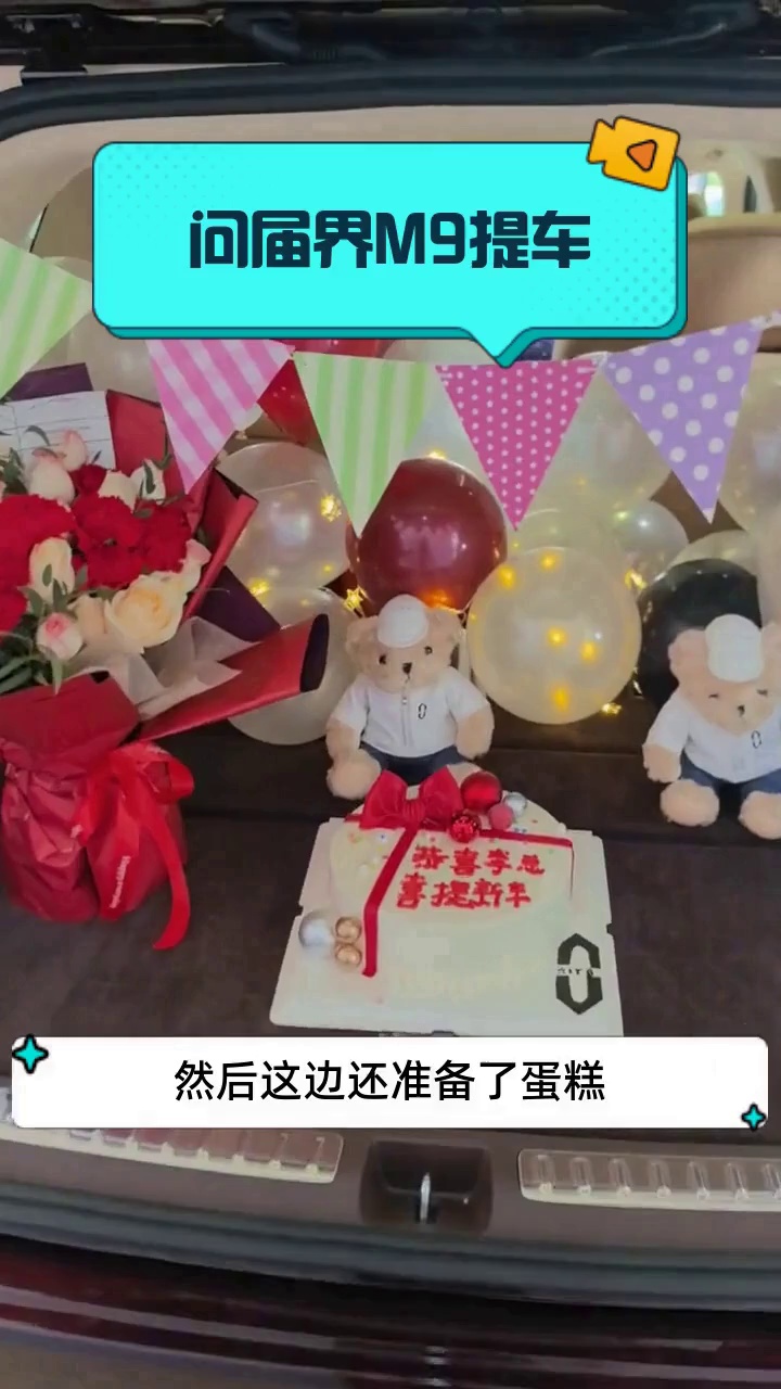 问届界M9提车