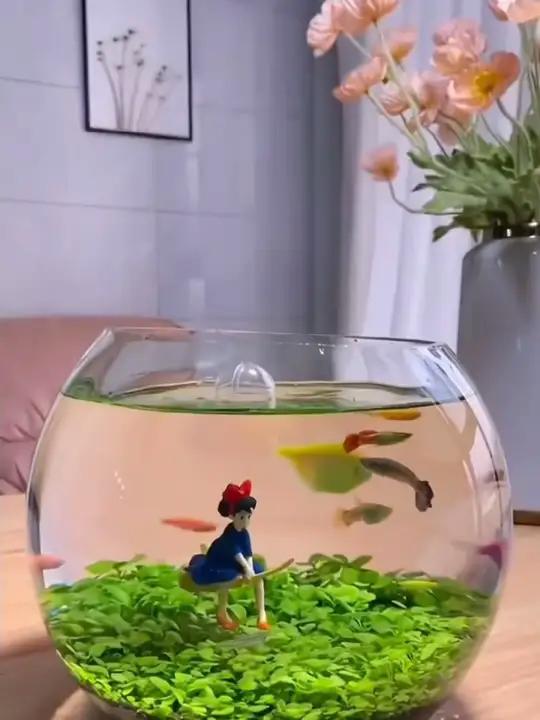 喜欢养鱼的,这个鱼缸质量真的很好