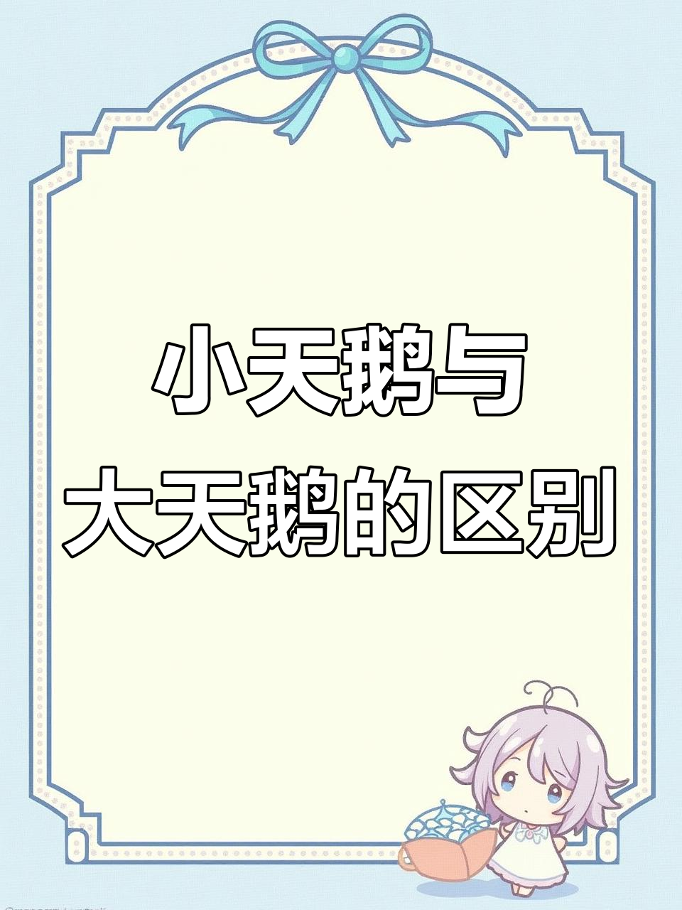 如何区分小天鹅、大天鹅和疣鼻天鹅?看嘴的颜色就能搞定