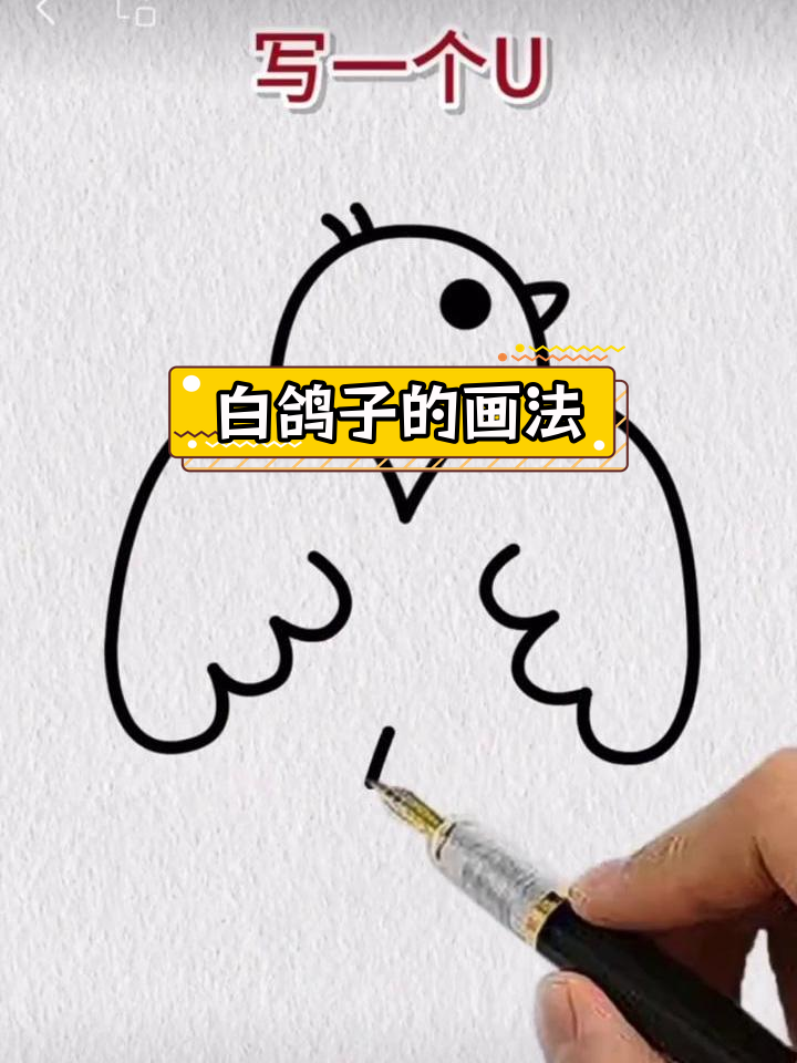 简单几步画出白鸽子简笔画