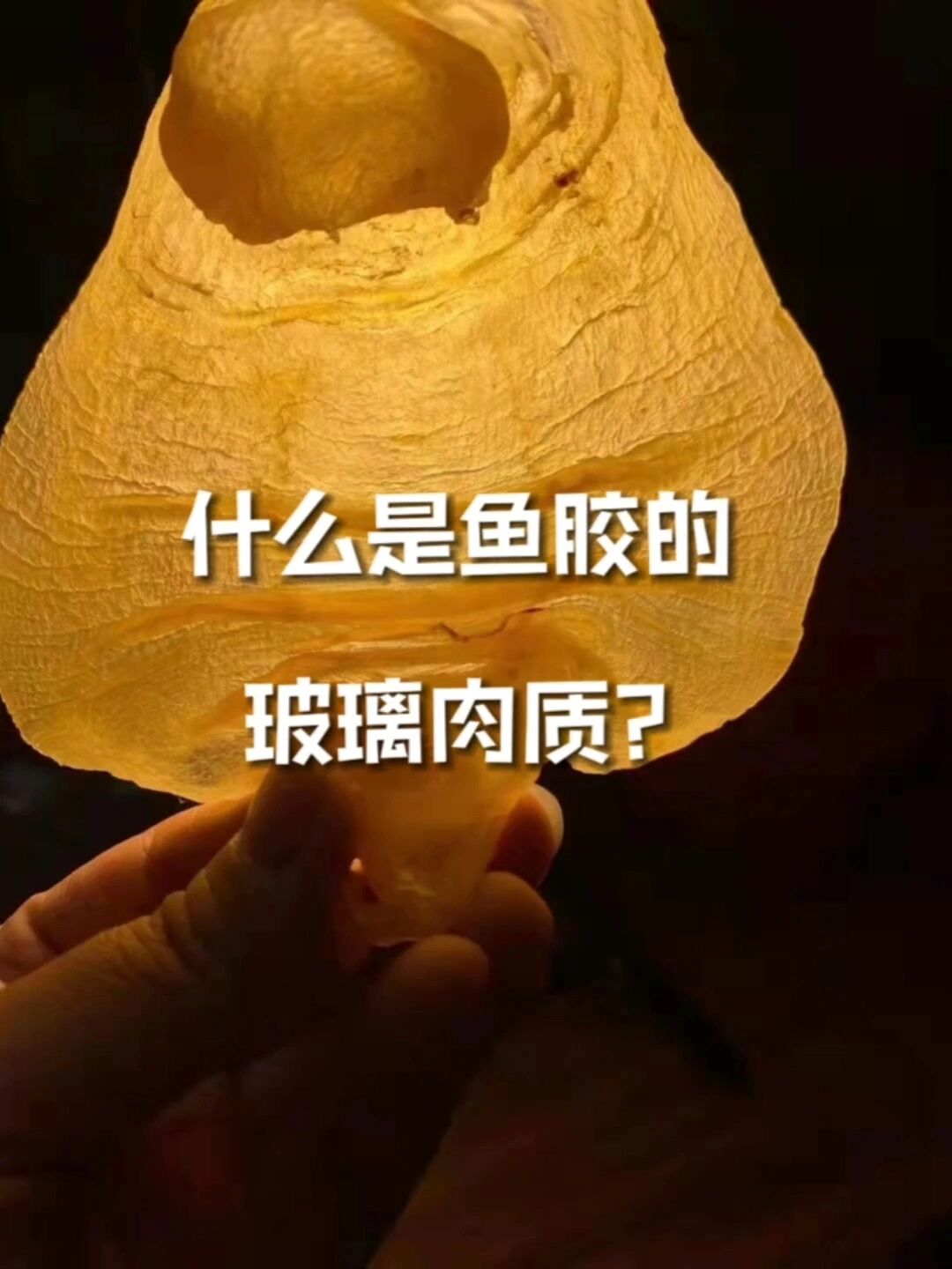 什么是鱼胶的玻璃肉质?
