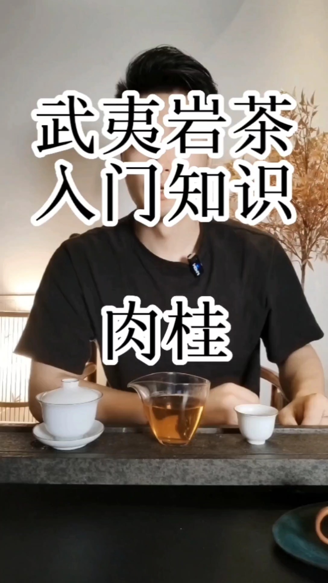 武夷岩茶入门知识—肉桂