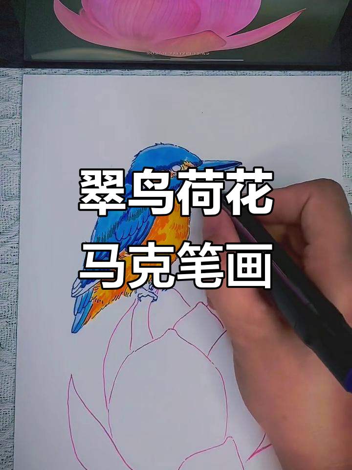翠鸟与荷花马克笔绘画技巧,步骤详解