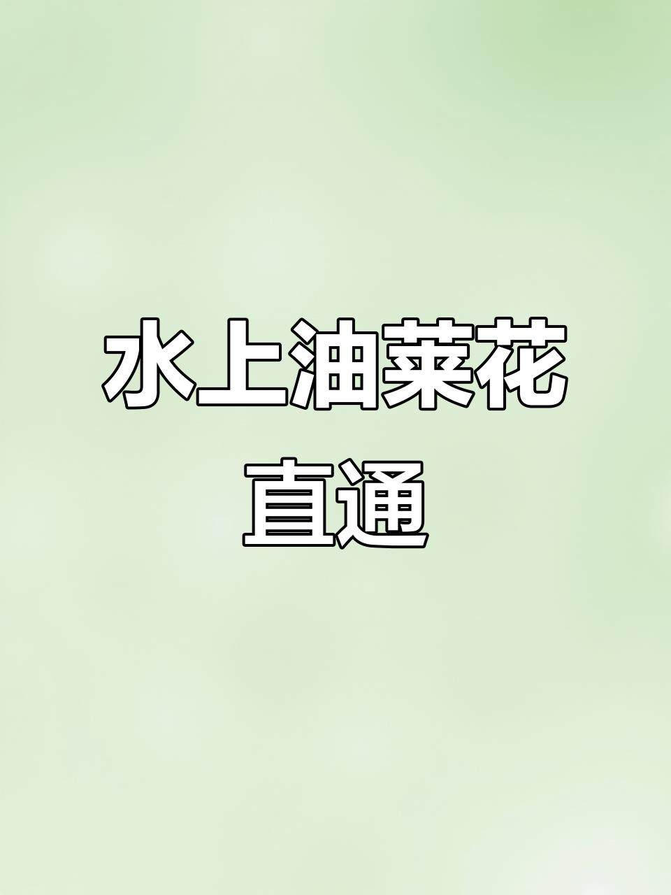 3月18日泰州兴化菜花直通车,畅游水上油菜花海