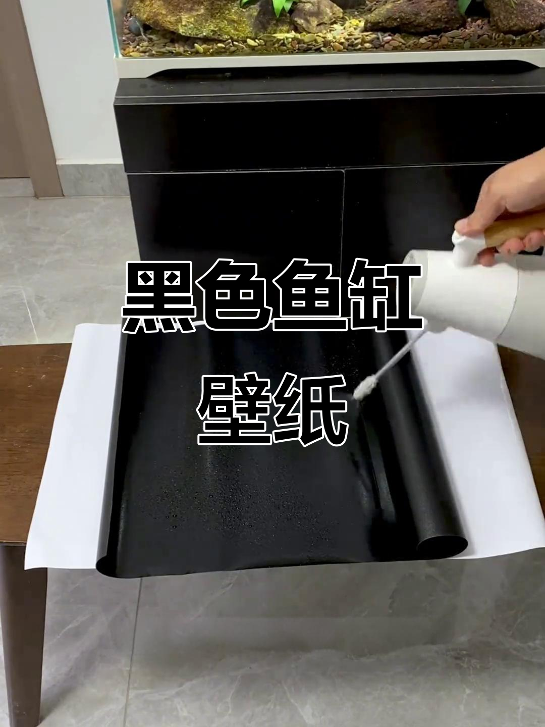 黑色鱼缸壁纸，百搭又耐看，轻松搭配各种风格
