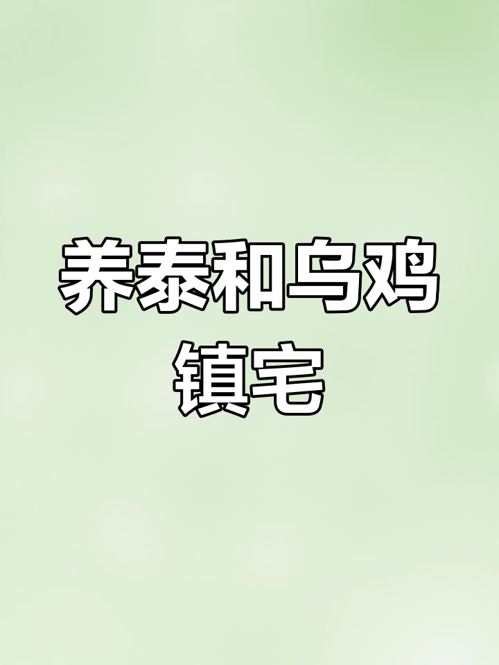 威武霸气泰和乌鸡,养几只镇家宅更添风采