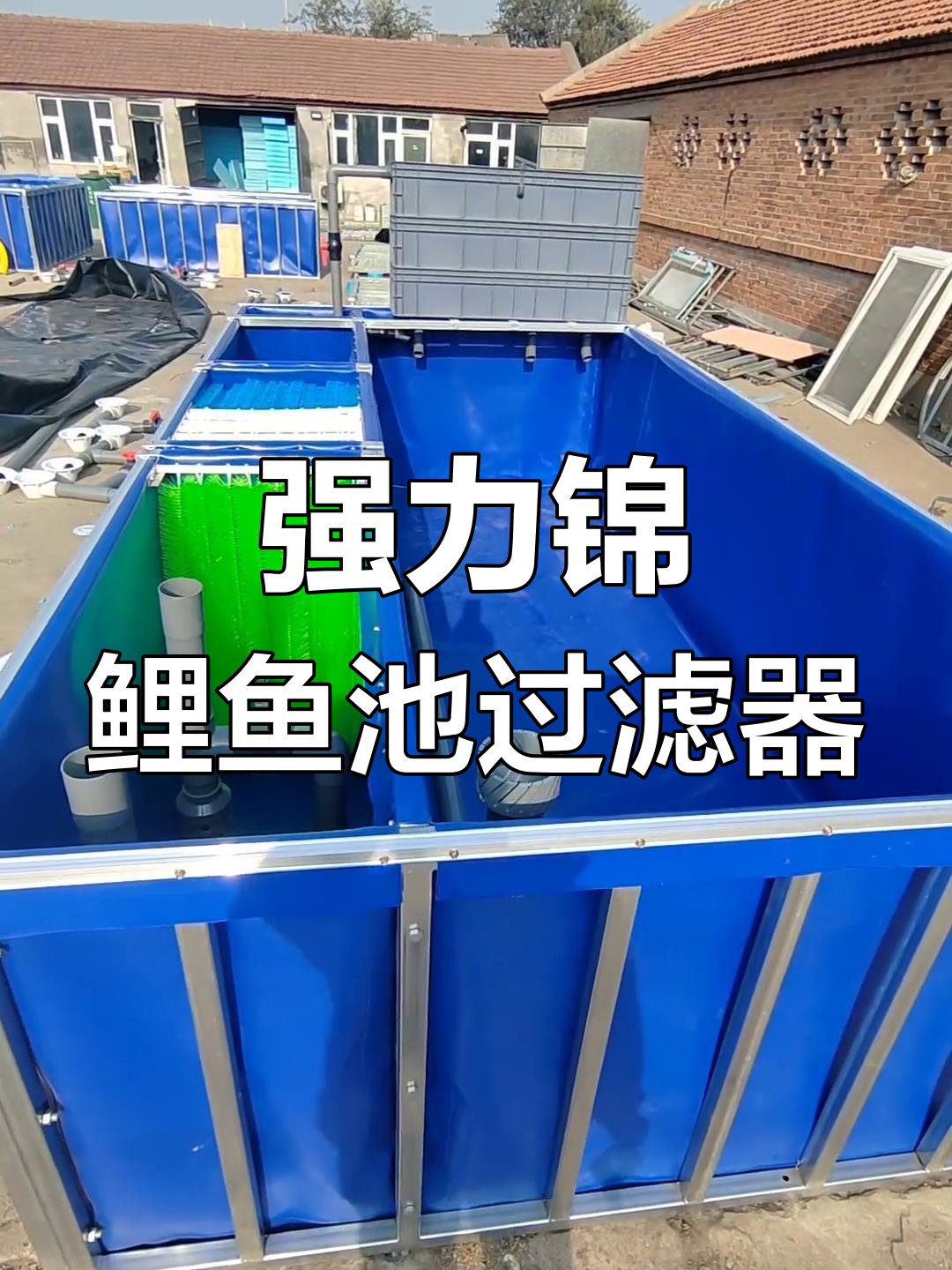 锦鲤鱼池设计与过滤系统全解析,打造强大水循环