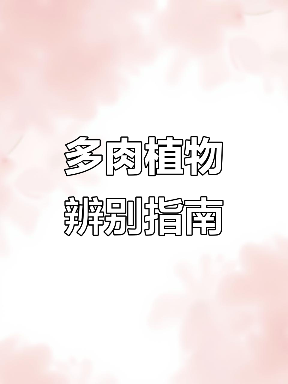 如何区分多肉植物，红浆果、八千代等常见品种的辨识技巧