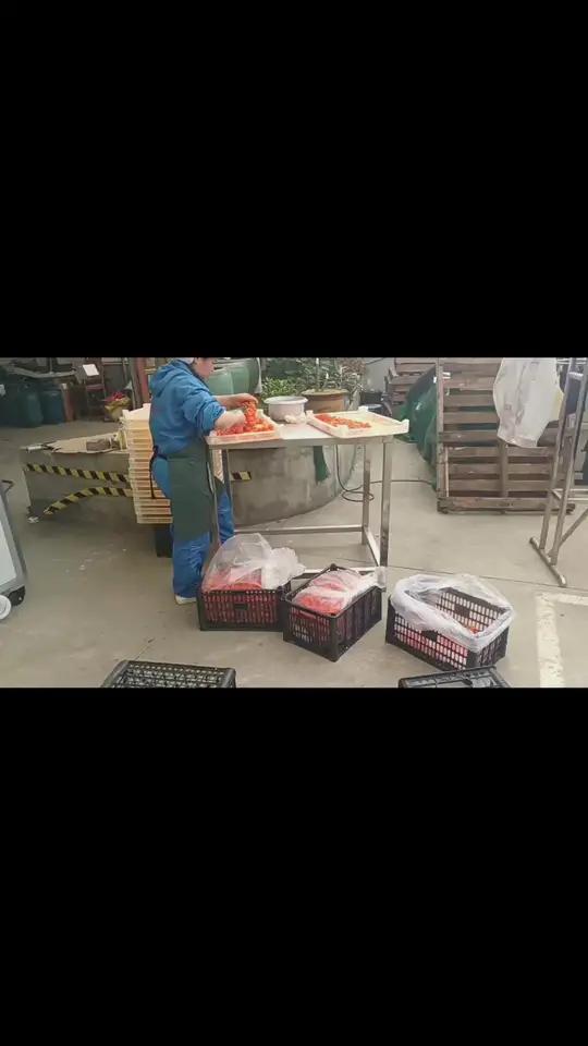 不管你加的是鸡蛋黄、鸭蛋黄、鹅蛋黄、恐龙蛋黄只要是蛋黄都可以烘干
