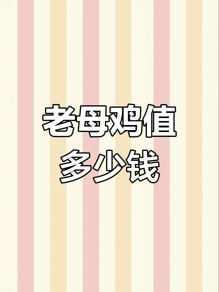 农村老母鸡的高价背后:鸡宝的真相