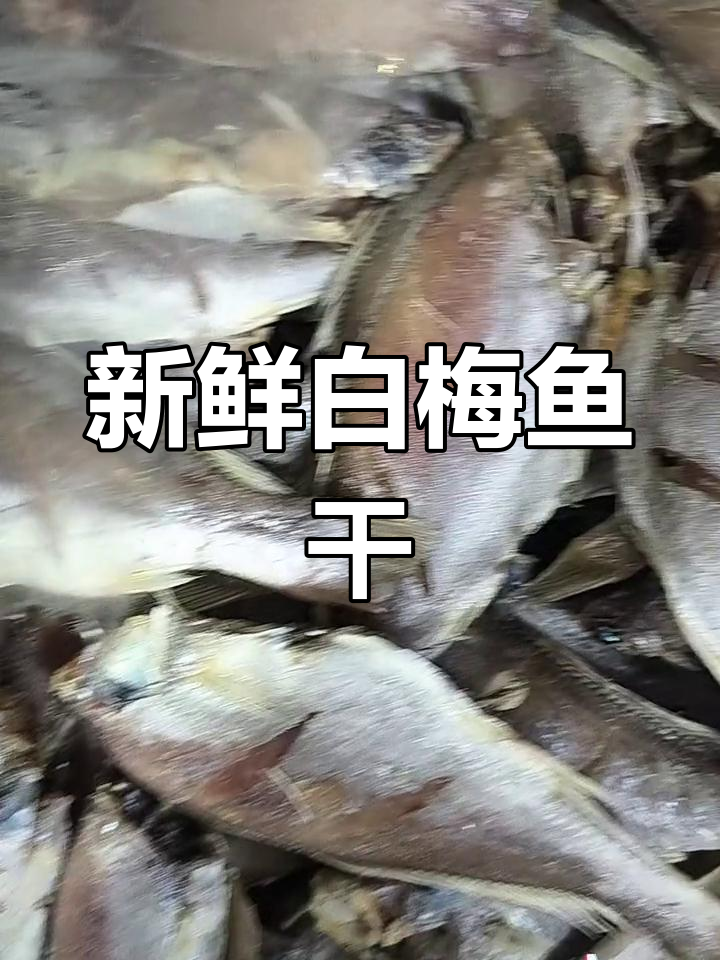 白梅鱼干蒸煮美味,肉质鲜嫩