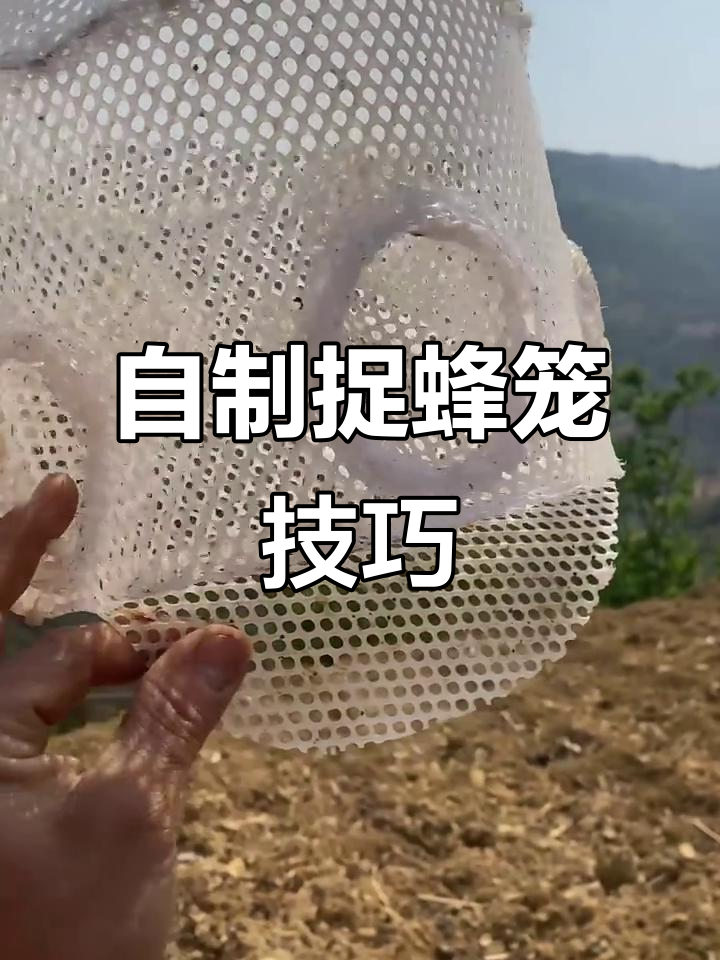 教你如何制作捕捉野王的笼子,轻松诱捕蜜蜂