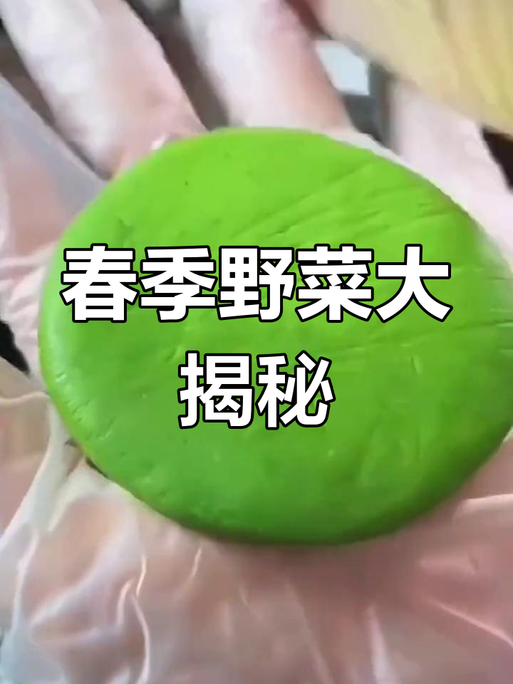 春天来临,野菜盛开,你知道它们的名字吗?