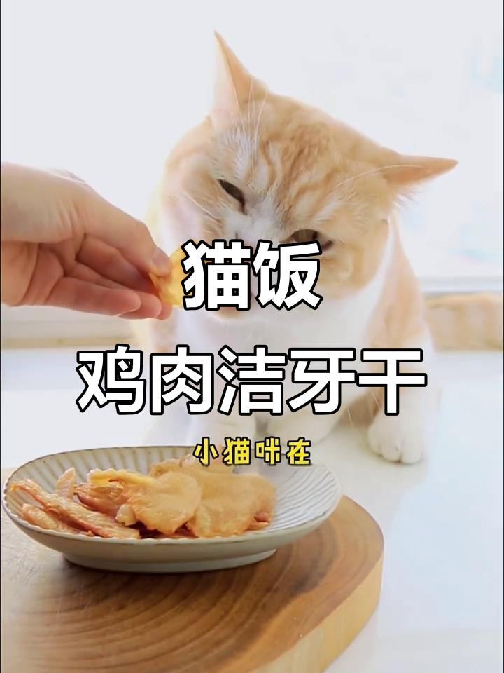 烤鸡胸肉干,猫咪洁牙小妙招