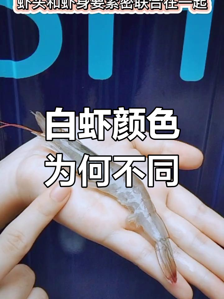 厄瓜多尔白虾与国产虾的差异解析