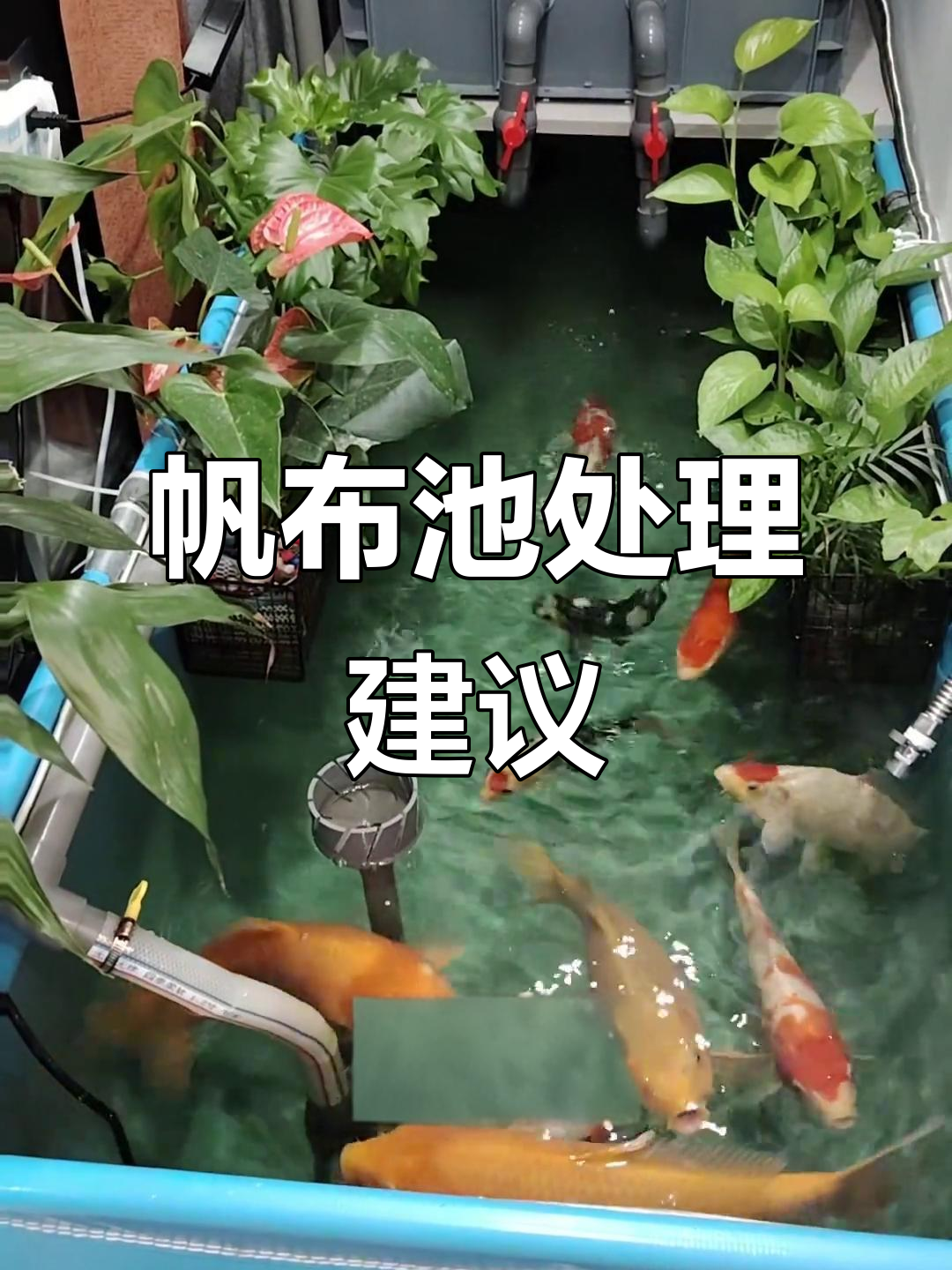 新帆布池先用高锰酸钾消毒,再注水使用更安全