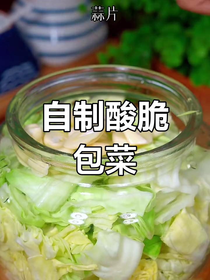 酸脆包菜泡菜的简单做法,6天就能吃!