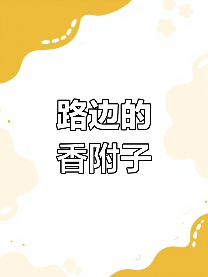 香附子:路边常见却有神奇功效的野草