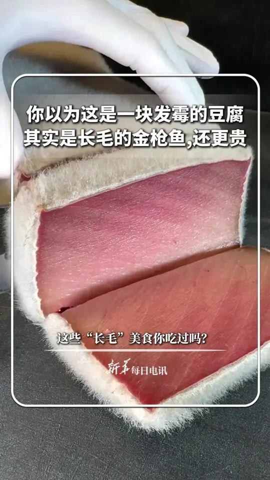 你以为这是一块发霉的豆腐,其实是长毛的金枪鱼,还更贵。这些“长毛”美食你吃过吗 新华每日电