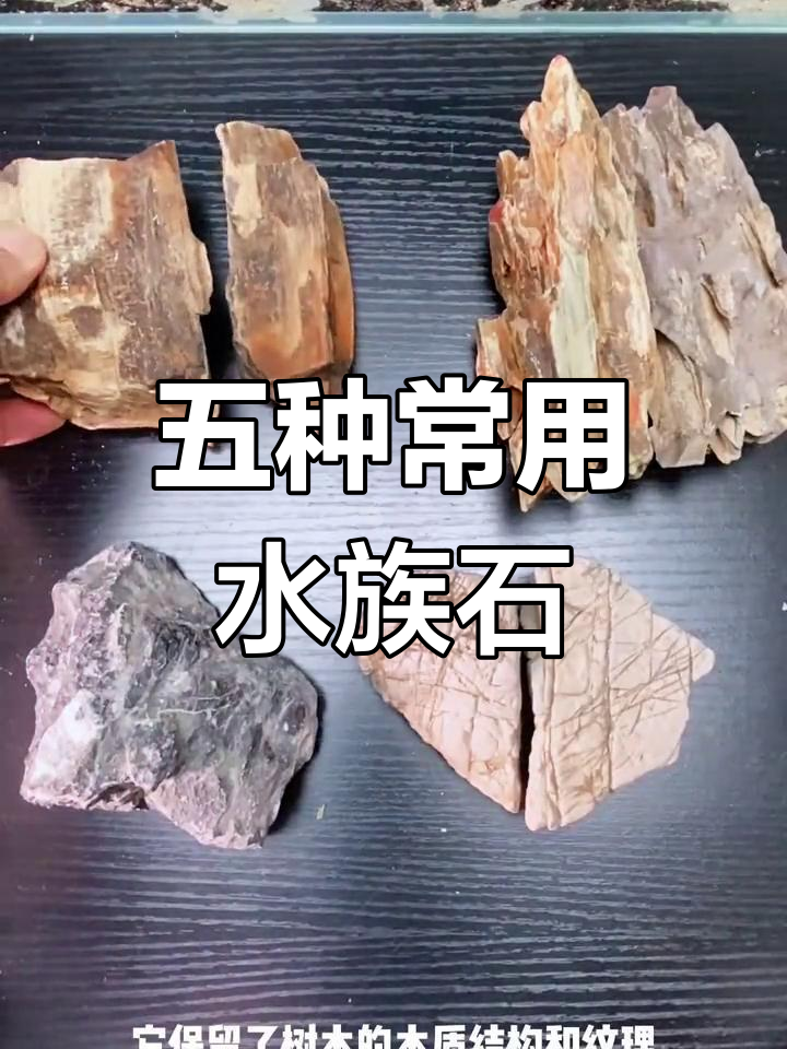 鱼缸造景必备的五种石头