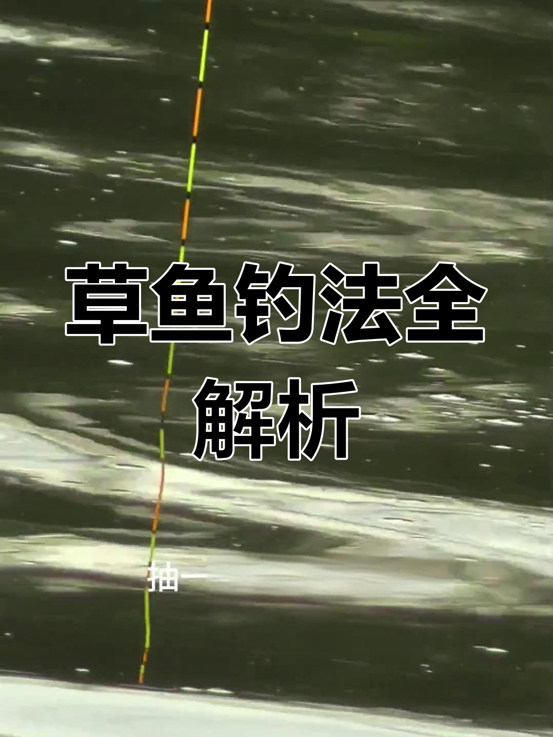 夜钓草鱼技巧大揭秘,如何用浮漂节奏掌控钓鱼全程