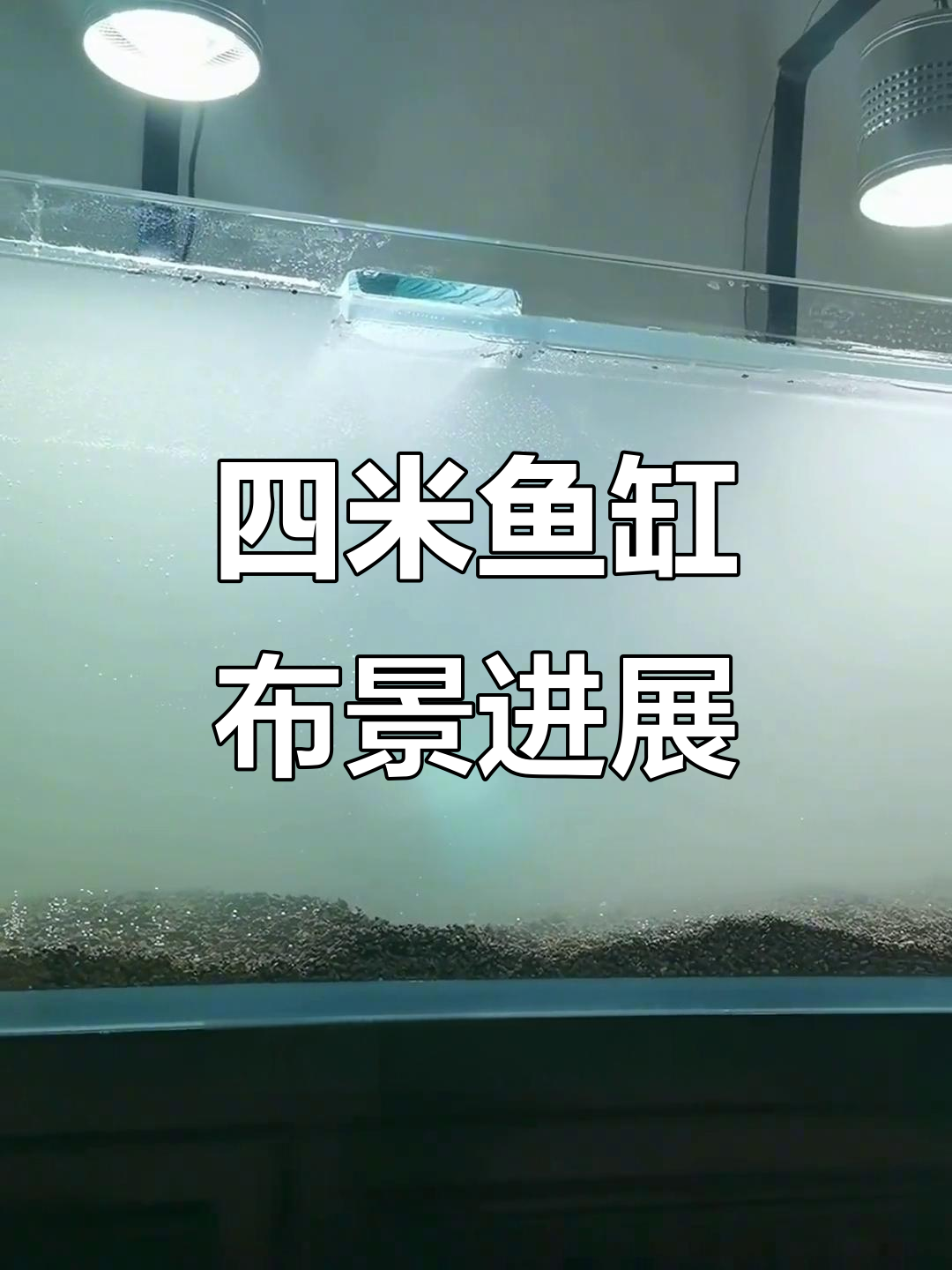 鱼缸布置大揭秘,石头沙砾全到位!