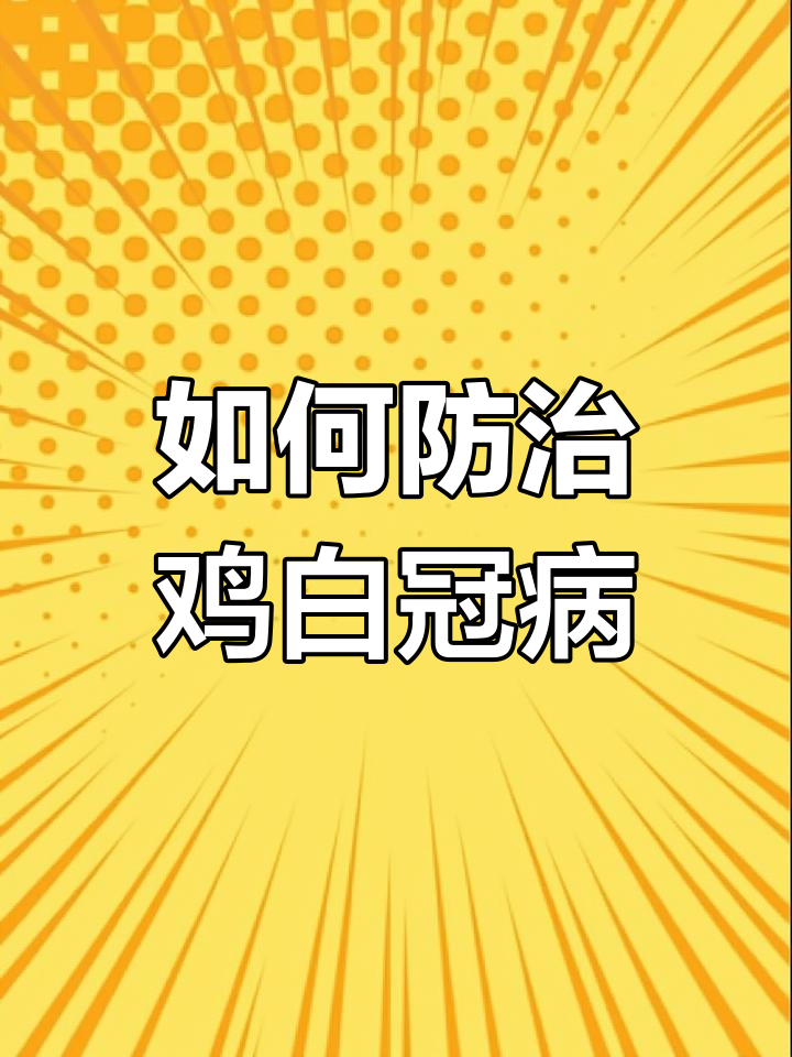 夏季高发!鸡白冠病预防全攻略