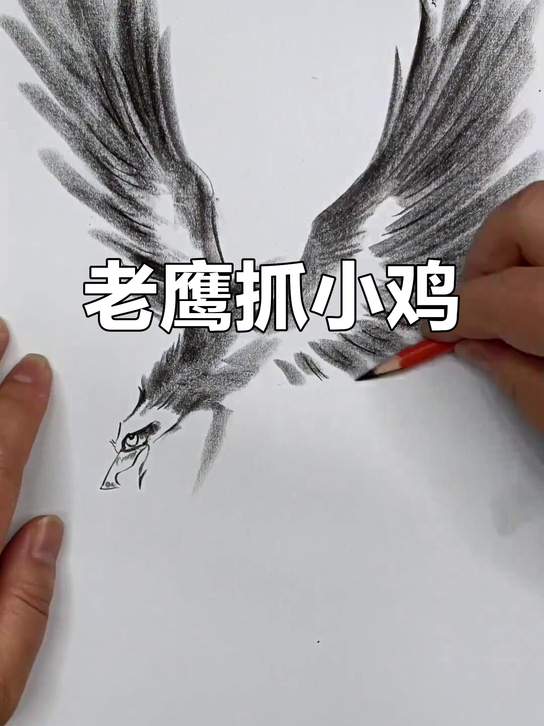 老鹰捉小鸡,趣味十足!