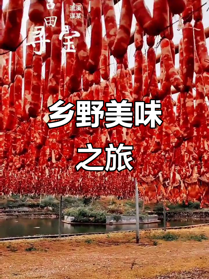吕田探秘，乡村美食尽显，大芥菜、腊味让人垂涎！