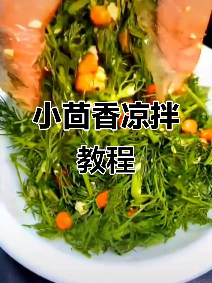 凉拌小茴香,饺子馆招牌菜做法大揭秘