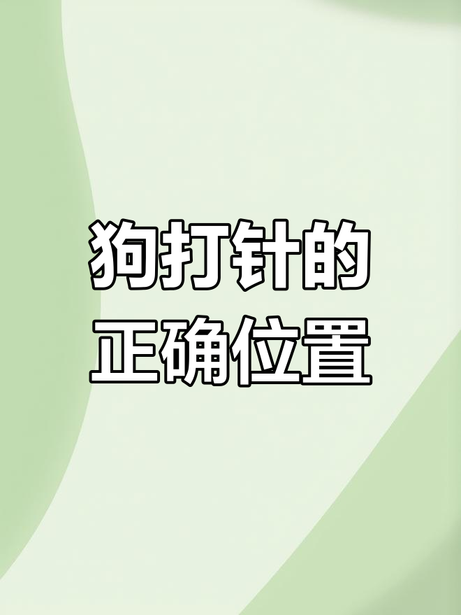 狗狗肌肉注射技巧,避免误打脖子针