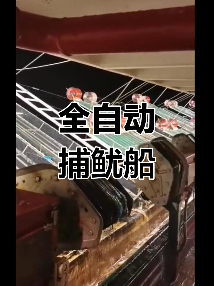 远洋鱿鱼捕捞揭秘：全自动机械作业，轻松捕获海量鱿鱼