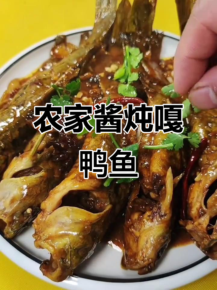 家常酱焖嘎鸭鱼，简单又美味