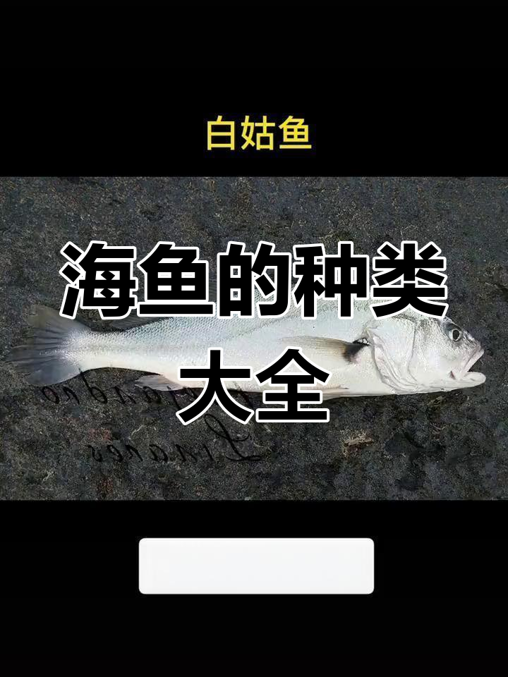 120种常见海鱼,你能认出多少?