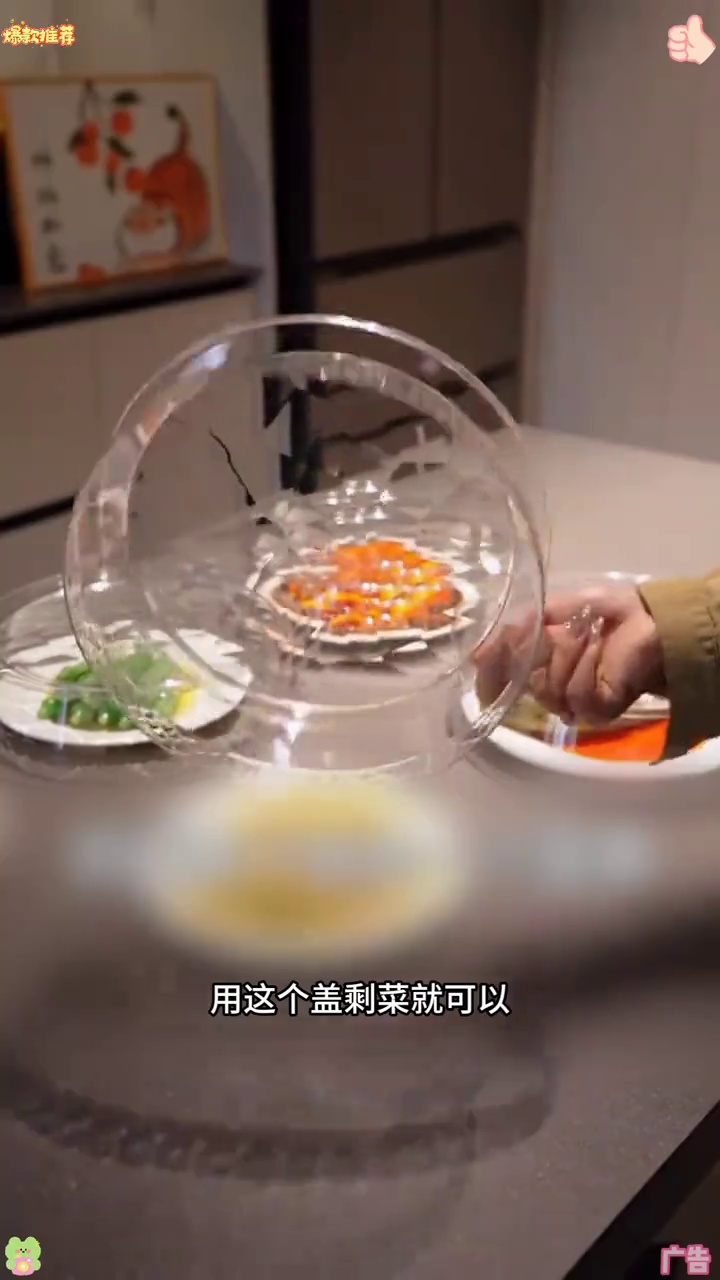 冰箱保鲜 菜罩
