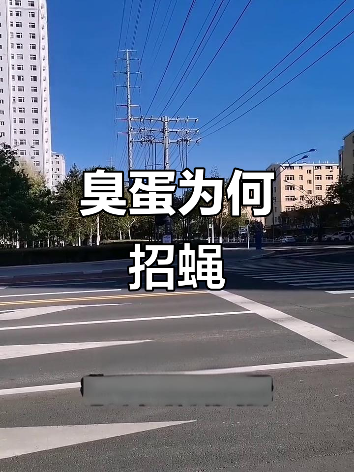 为什么臭鸡蛋吸引苍蝇?揭秘背后的真相