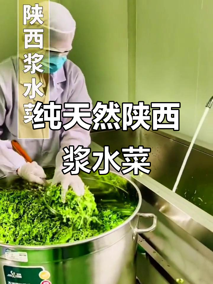 陕西浆水菜,酸脆爽口,野油菜制作而成