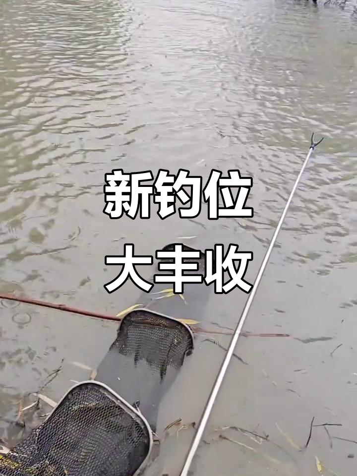 钓鱼新钓点,鲫鱼和船钉子不断上钩